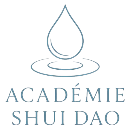 Académie Shui Dao